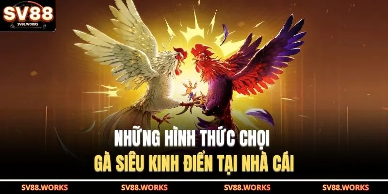 Những hình thức chọi gà siêu kinh điển tại nhà cái